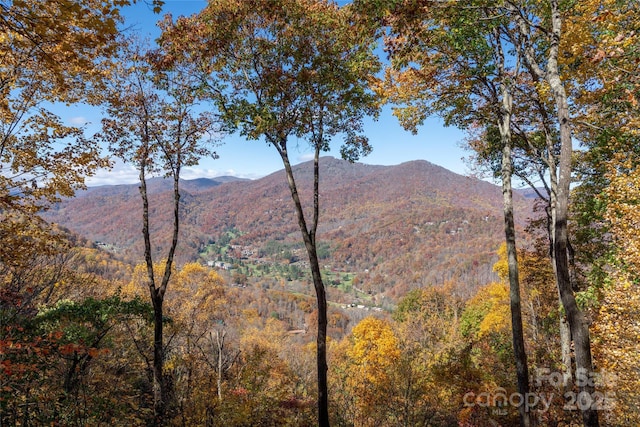 339 Tsalagi Trl, Maggie Valley, NC 28751 - mountain view featuring a heavily wooded area