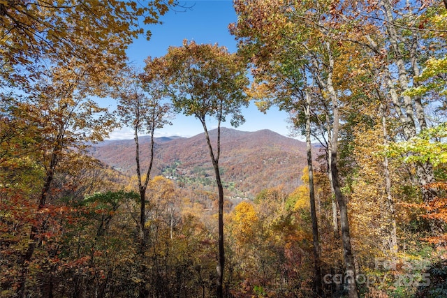 339 Tsalagi Trl, Maggie Valley, NC 28751 - view of mountain background featuring a forest