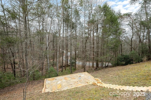 137 Weaver Ct, Lake Lure, NC 28746 - view of yard featuring a wooded view