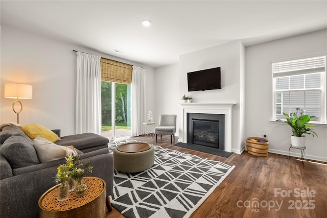 461 Misty Law Ln, Clover, SC 29710 - living room featuring wood finished floors, a fireplace with flush hearth, and baseboards