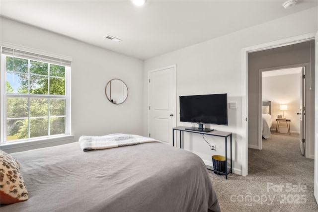 461 Misty Law Ln, Clover, SC 29710 - bedroom with carpet floors and baseboards