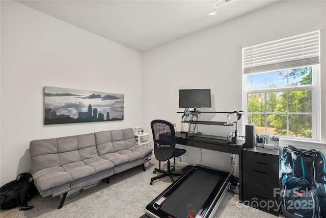 461 Misty Law Ln, Clover, SC 29710 - home office featuring carpet floors