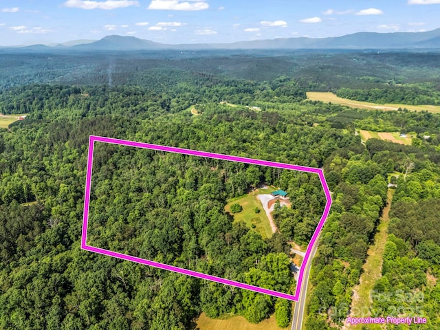 1171 Clark Rd, Rutherfordton, NC 28139 - photo 8