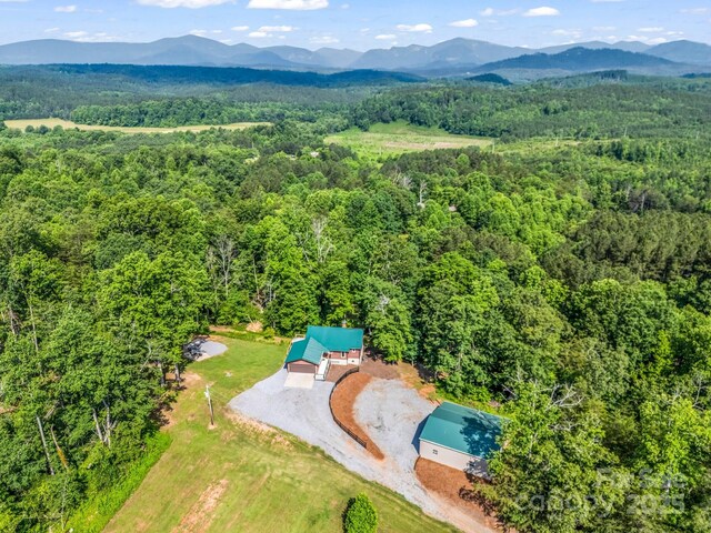 1171 Clark Rd, Rutherfordton, NC 28139 - photo 29