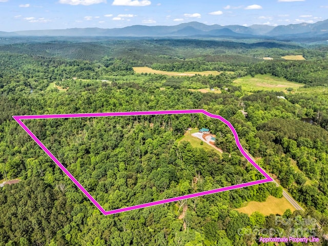 1171 Clark Rd, Rutherfordton, NC 28139 - photo 31