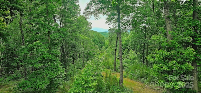 1171 Clark Rd, Rutherfordton, NC 28139 - photo 41