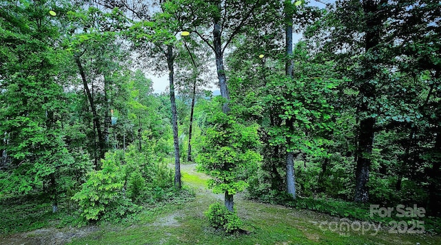 1171 Clark Rd, Rutherfordton, NC 28139 - photo 43