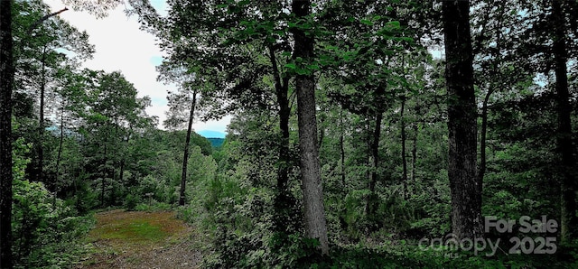 1171 Clark Rd, Rutherfordton, NC 28139 - photo 45