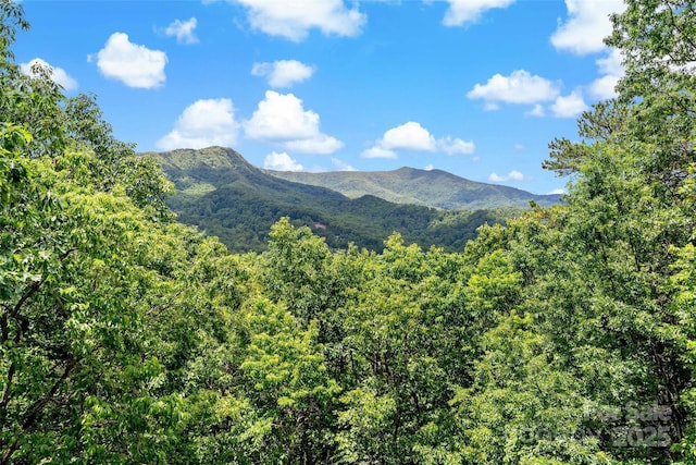65 Timber Park Dr, Black Mountain, NC 28711 - mountain view featuring a forest