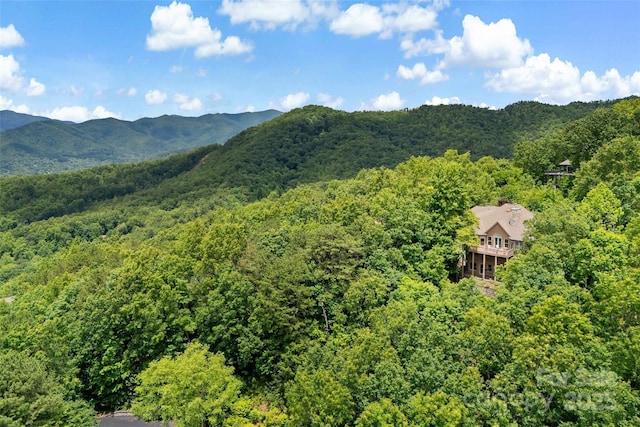 65 Timber Park Dr, Black Mountain, NC 28711 - view of mountain background featuring a forest