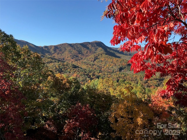 65 Timber Park Dr, Black Mountain, NC 28711 - mountain view featuring a heavily wooded area