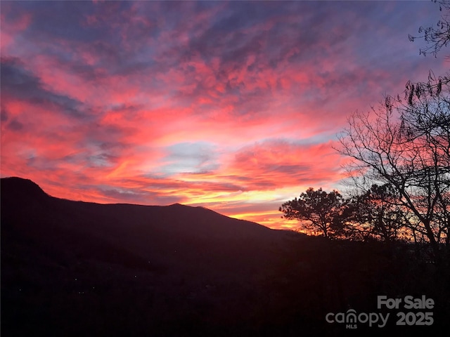 65 Timber Park Dr, Black Mountain, NC 28711 - view of mountain background
