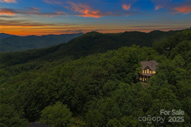 65 Timber Park Dr, Black Mountain, NC 28711 - view of mountain background featuring a heavily wooded area