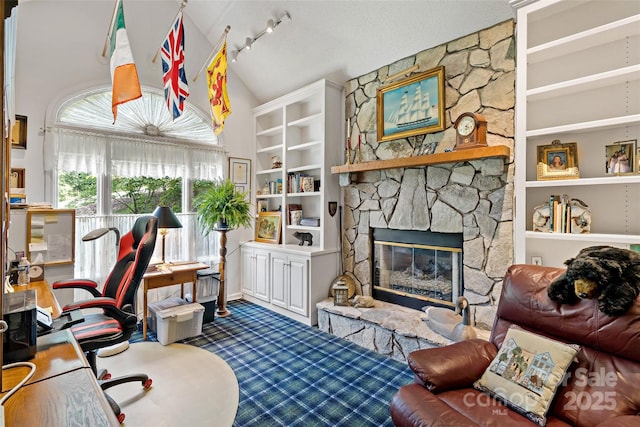 65 Timber Park Dr, Black Mountain, NC 28711 - office featuring dark carpet, track lighting, a stone fireplace, built in features, and high vaulted ceiling