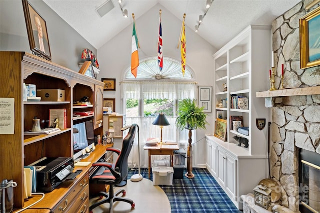 65 Timber Park Dr, Black Mountain, NC 28711 - office space featuring rail lighting, a textured ceiling, a stone fireplace, high vaulted ceiling, and built in features