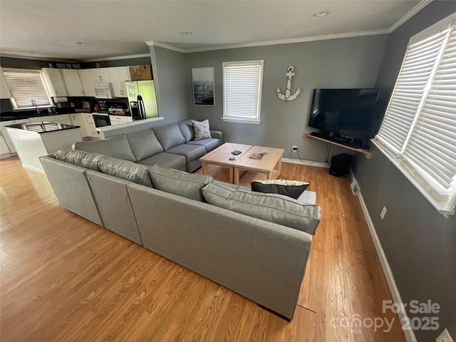 132 Marina Ln, Mooresville, NC 28117 - living area with light wood-type flooring, baseboards, and ornamental molding