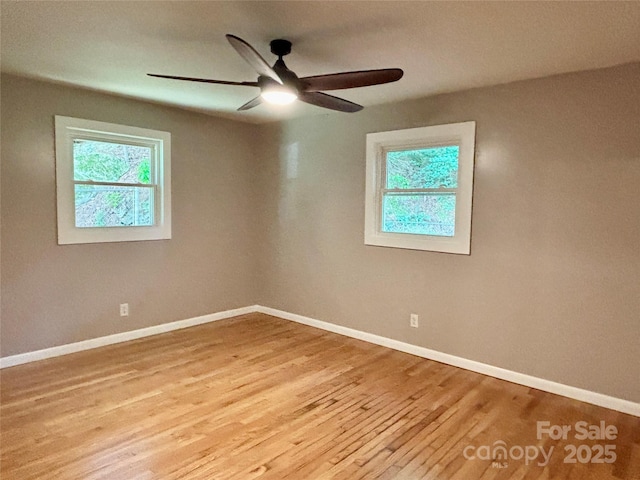 2130 Vashti Rd, Taylorsville, NC 28681 - photo 15