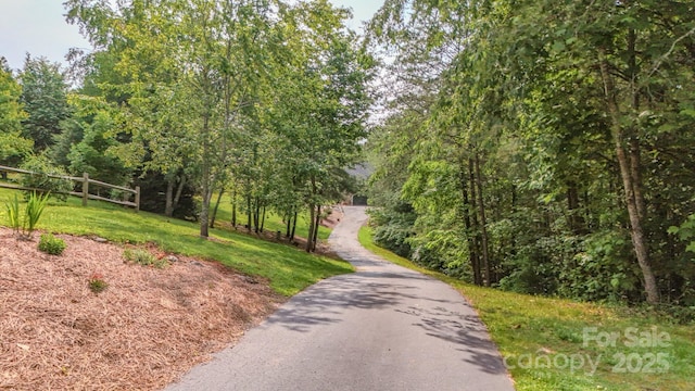 29 Lancaster Ln, Weaverville, NC 28787 - photo 1