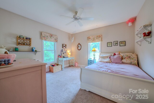 29 Lancaster Ln, Weaverville, NC 28787 - photo 18
