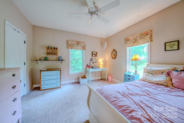 29 Lancaster Ln, Weaverville, NC 28787 - photo 19
