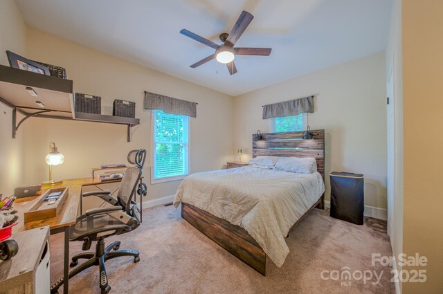 29 Lancaster Ln, Weaverville, NC 28787 - photo 20