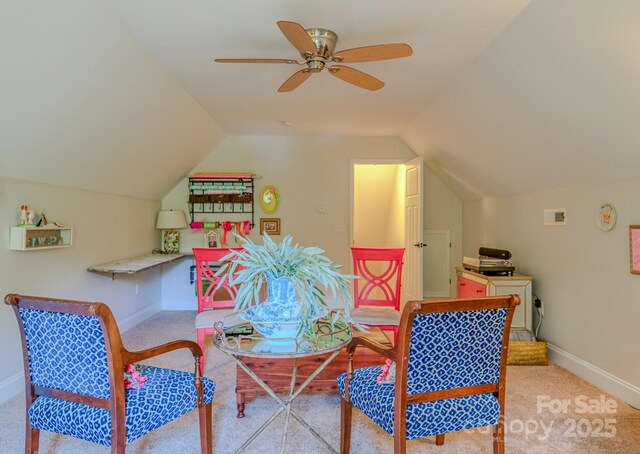 29 Lancaster Ln, Weaverville, NC 28787 - photo 24