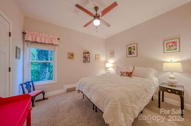 29 Lancaster Ln, Weaverville, NC 28787 - photo 35