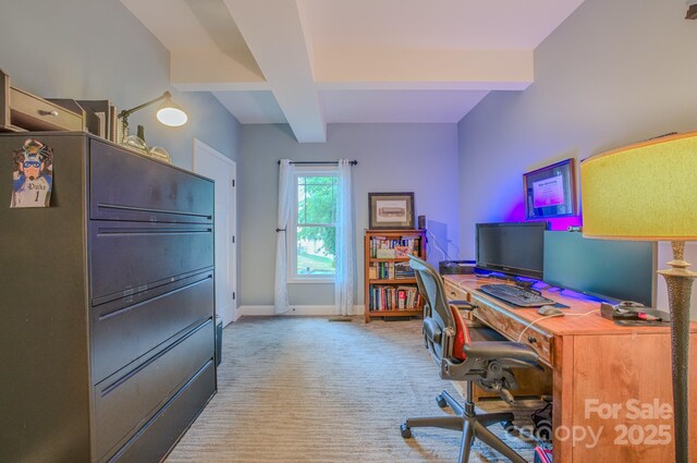 29 Lancaster Ln, Weaverville, NC 28787 - photo 45