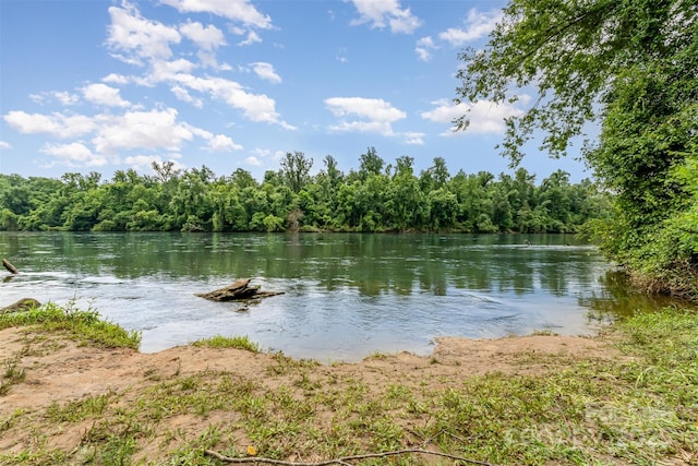 755 Lagan Ct, Fort Mill, SC 29715 - water view with a forest