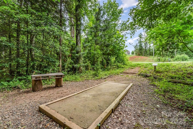 755 Lagan Ct, Fort Mill, SC 29715 - view of property's community