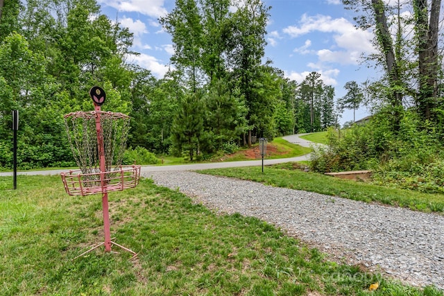 755 Lagan Ct, Fort Mill, SC 29715 - view of community featuring a yard