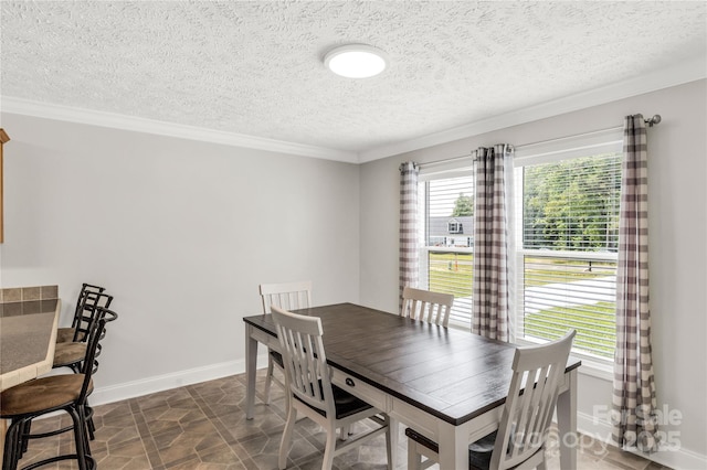 4285 Palmer Lloyd Rd, Lancaster, SC 29720 - dining room with crown molding, baseboards, and a textured ceiling