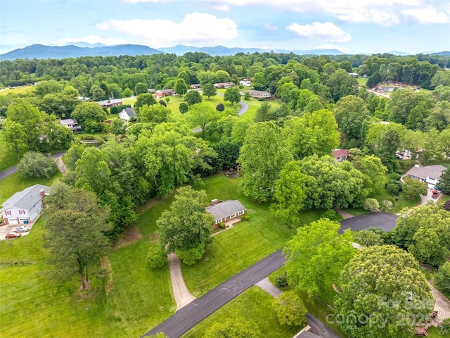 16 Sun Valley Ct, Alexander, NC 28701 - photo 36