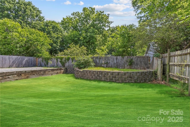 933 Old Charlotte Rd, Concord, NC 28027 - view of yard