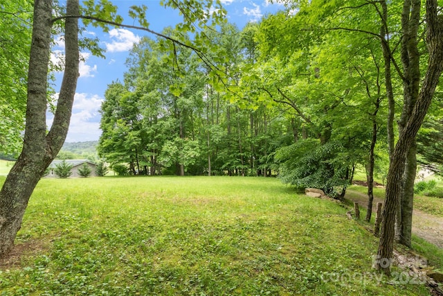 33 Copper Penny Ln, Burnsville, NC 28714 - photo 38