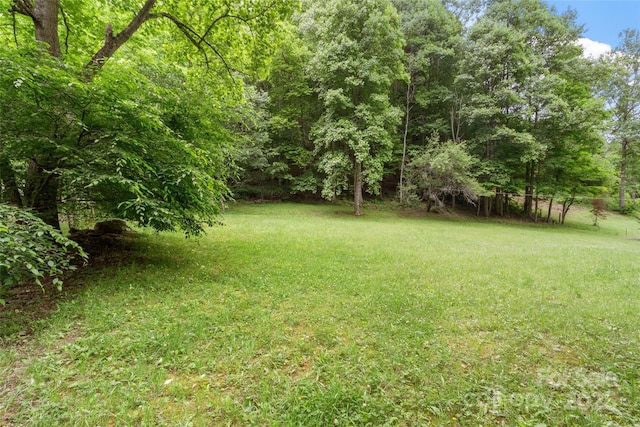 33 Copper Penny Ln, Burnsville, NC 28714 - photo 39