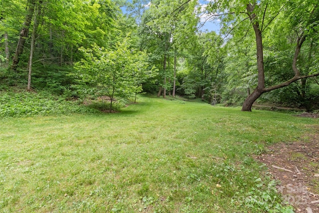 33 Copper Penny Ln, Burnsville, NC 28714 - photo 41