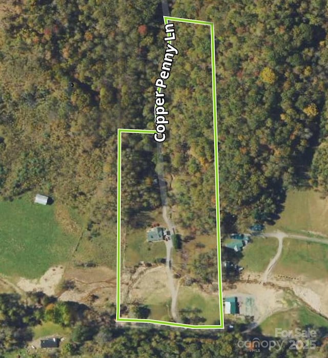 33 Copper Penny Ln, Burnsville, NC 28714 - photo 46