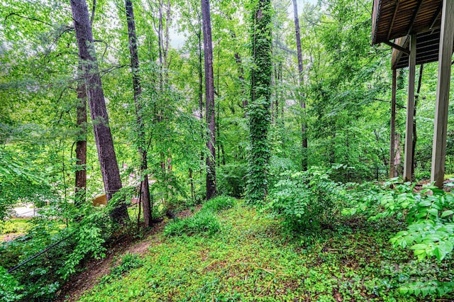 809 Westminster Cir SW, Lenoir, NC 28645 - view of wooded area