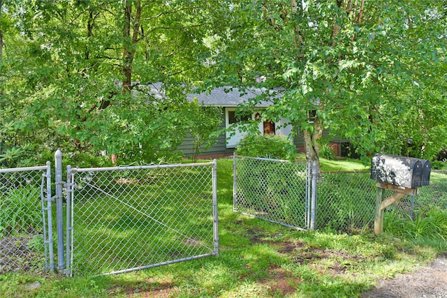 5 Old Cove Rd, Black Mountain, NC 28711 - view of yard with a gate