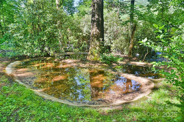 5 Old Cove Rd, Black Mountain, NC 28711 - view of yard