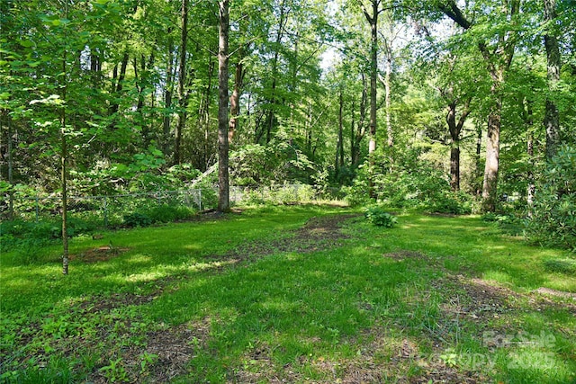 5 Old Cove Rd, Black Mountain, NC 28711 - view of yard