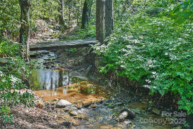 5 Old Cove Rd, Black Mountain, NC 28711 - view of nature