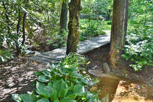 5 Old Cove Rd, Black Mountain, NC 28711 - view of nature