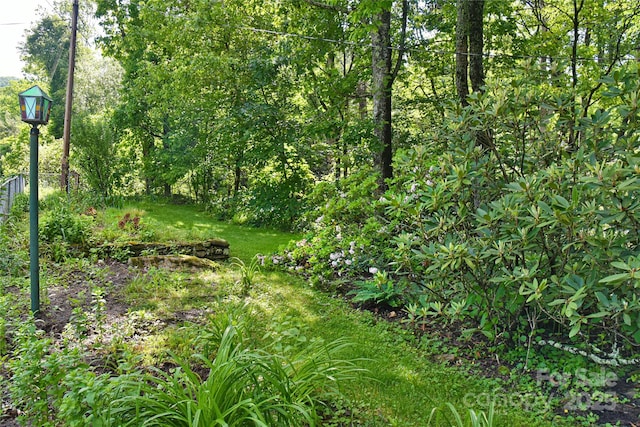 5 Old Cove Rd, Black Mountain, NC 28711 - view of nature