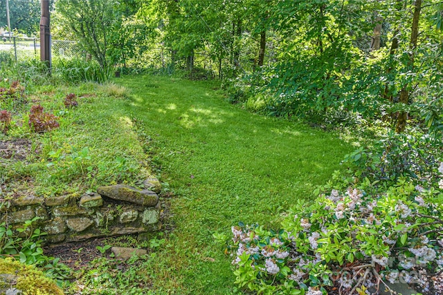 5 Old Cove Rd, Black Mountain, NC 28711 - view of yard