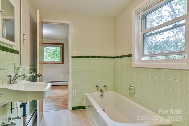 5 Old Cove Rd, Black Mountain, NC 28711 - photo 29