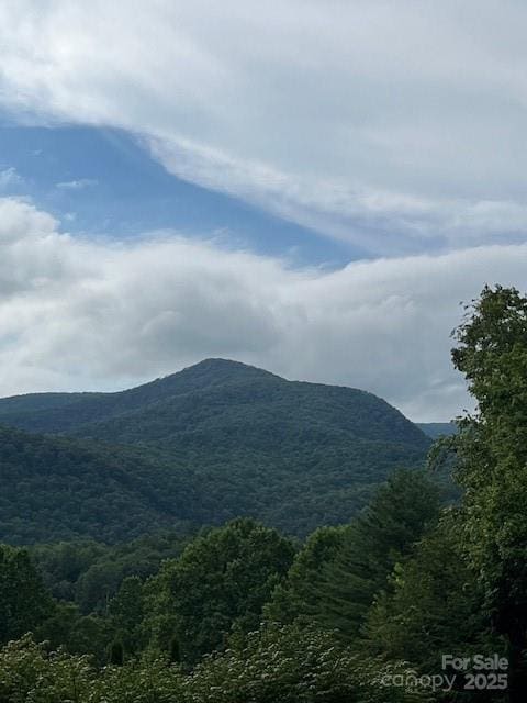 5 Old Cove Rd, Black Mountain, NC 28711 - photo 1