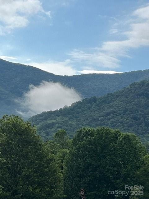 5 Old Cove Rd, Black Mountain, NC 28711 - photo 4