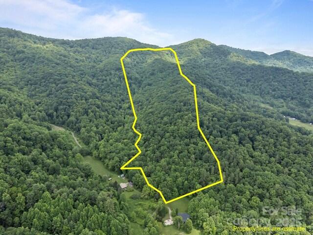 9999 Burnette Reeves Rd, Leicester, NC 28748 - photo 1